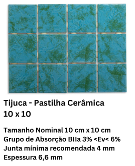 Tijuca - Pastilha Cerâmica 10 x 10